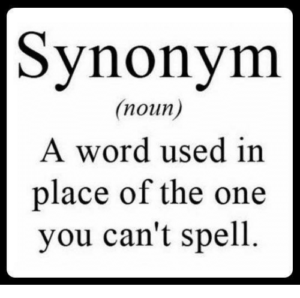 synonym a word used in place of one you cant spell